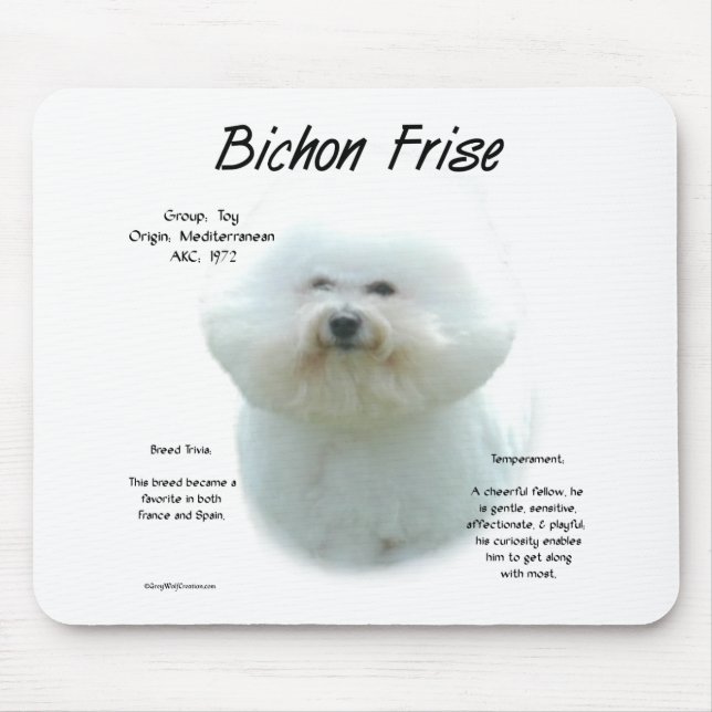 Bichon Frise-historik; allt om Bichon Frise Musmatta (Framsidan)