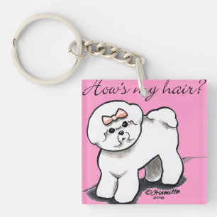 Bichon Frise Hows mitt hår