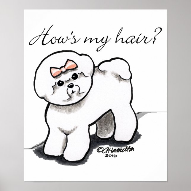 Bichon Frise Hows My Hair Poster (Framsidan)