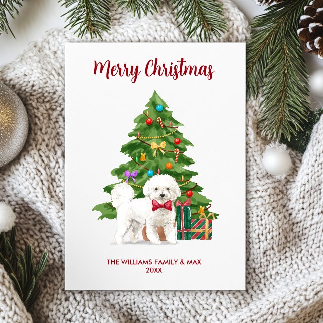 Bichon Frise Hund Familj Jul Julkort (Skapare uppladdad)