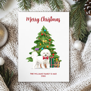 Bichon Frise Hund Family jul Julkort