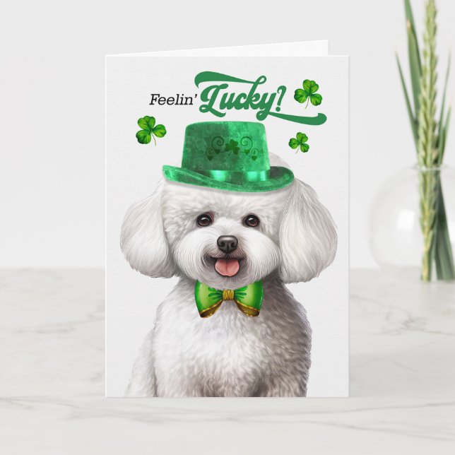 Bichon Frise Hund Feelin' Lucky St patrick's day Helgkort (Framsida)