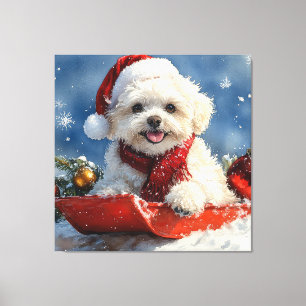 Bichon Frise Hund i Sledge Låt det snöa jul Canvastryck