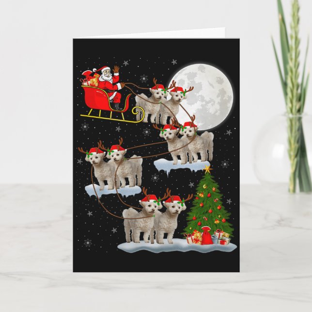 Bichon Frise Hund Jultomte Släd Flygande Rolig Mag Kort (Framsida)