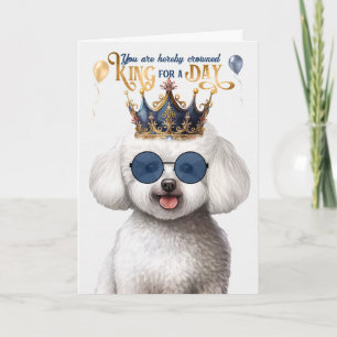 Bichon Frise Hund Kung för en dag på födelsedagen Kort