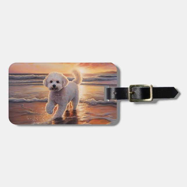 Bichon Frise-hund på strand vid solnedgång  Bagagebricka (Horisontell Framsida)