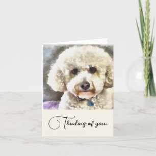 Bichon Frise Hund Personlig tänker på dig Anteckningskort