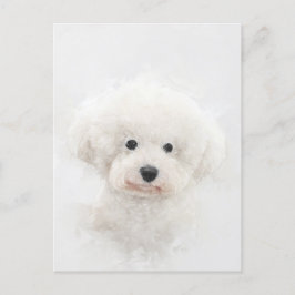 Bichon Frise Hund Porträtt Vykort