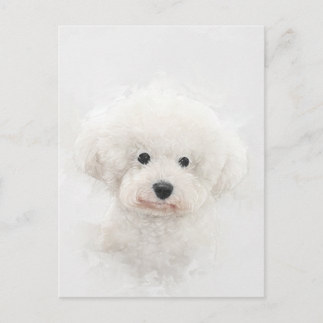 Bichon Frise Hund Porträtt Vykort (Framsida)