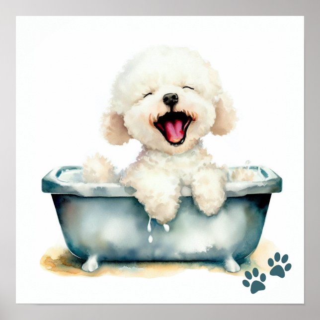 Bichon Frise Hund Poster (Framsidan)