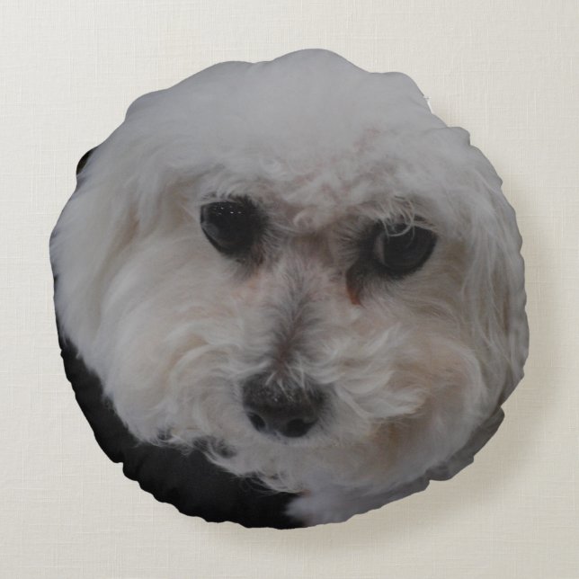 Bichon Frise hund Rund Kudde (Baksidan)
