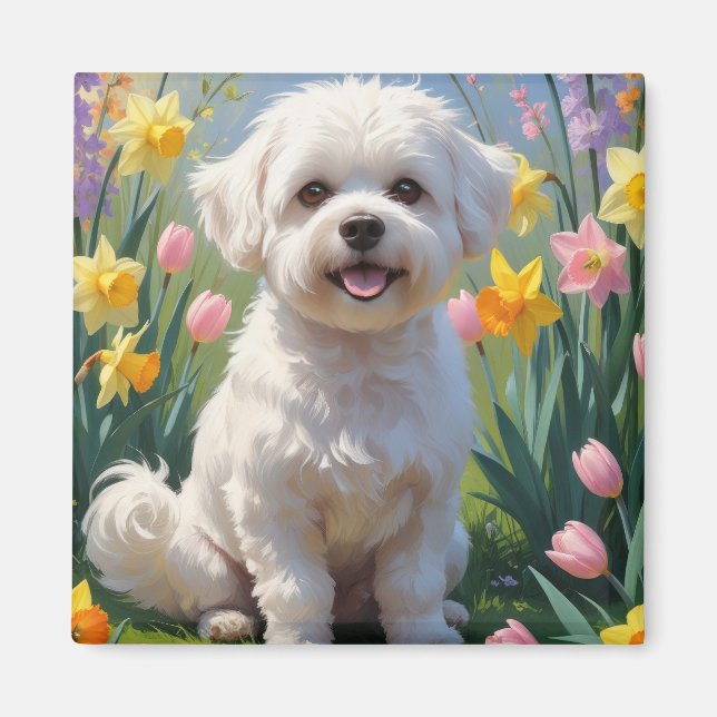 Bichon Frise Hund Vårblommor Målning Magnet (Framsidan)