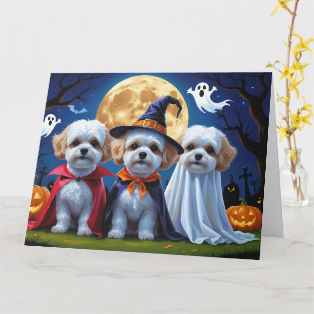 Bichon Frise Hundar Pumpkin Halloween Funny Kort (Gul blomma)