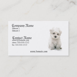 Bichon Frise hundvisitkort Visitkort