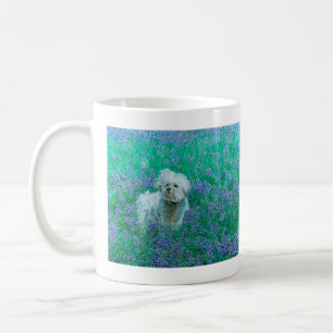 Bichon Frise i Bluebonnets Kaffemugg