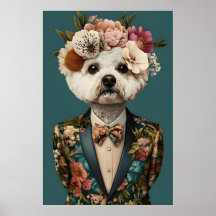 Bichon Frise i kostymaffisch, Bichon Frise