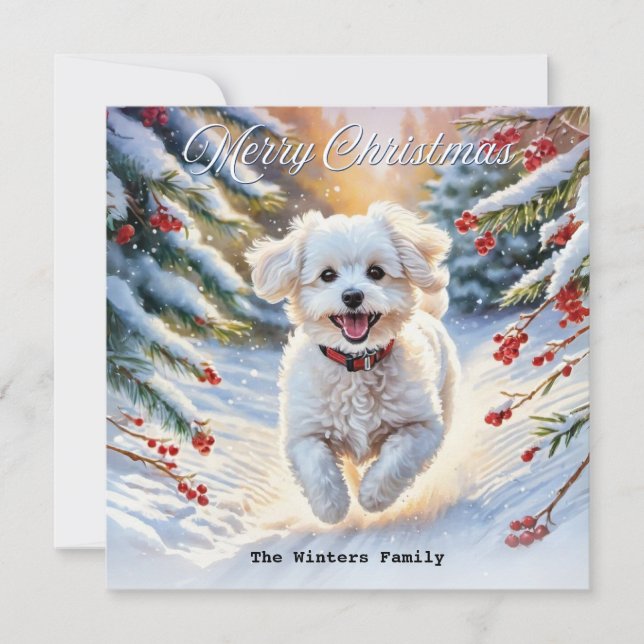 Bichon Frise i snö Söt hund Vinter jul Julkort (Framsida)