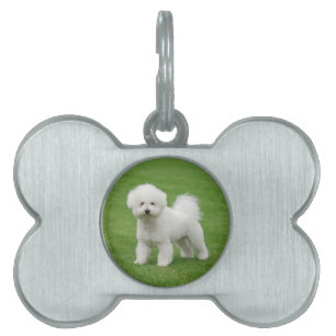 Bichon Frise ID-bricka Husdjur