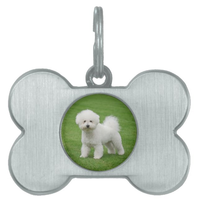 Bichon Frise ID-bricka Husdjur (Framsidan)