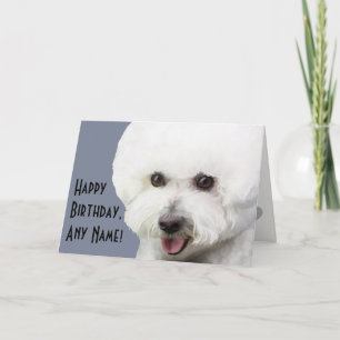 Bichon Frise illustrerat födelsedagkort Kort