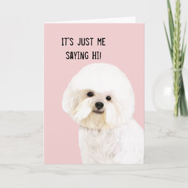 Bichon Frise illustrerat hälsningkort Kort (Framsida)