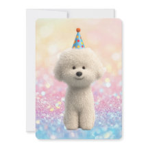 Bichon Frise