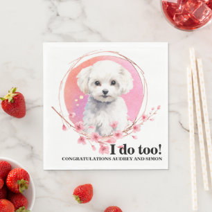 Bichon Frise, jag gör för tassar med Hundar foto Pappersservett