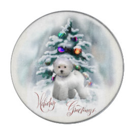 Bichon Frise jul