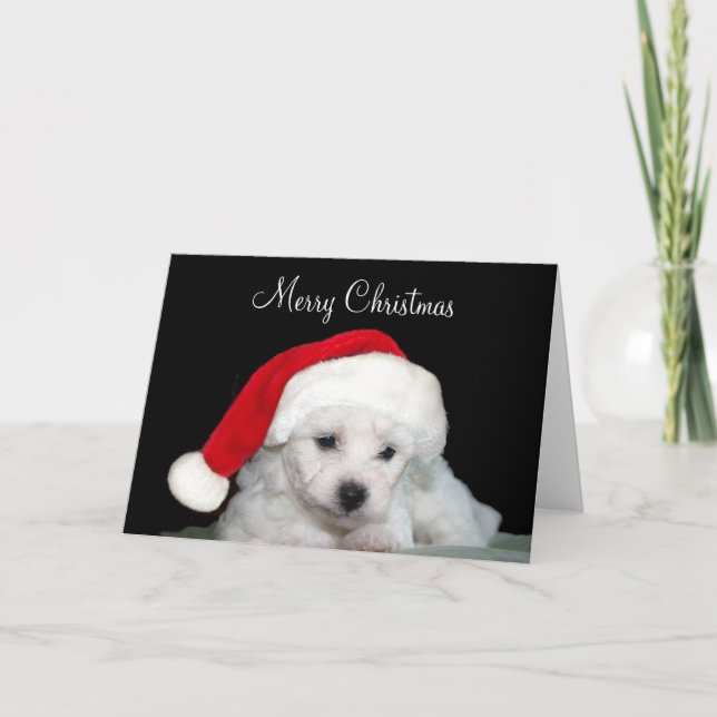 Bichon Frise jul Helgkort (Framsida)