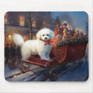 Bichon Frise jul - helgsäsong Musmatta