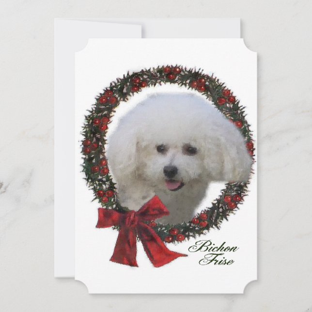 Bichon Frise jul Julkort (Framsida)