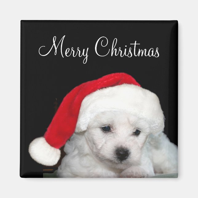 Bichon Frise jul Magnet (Framsidan)
