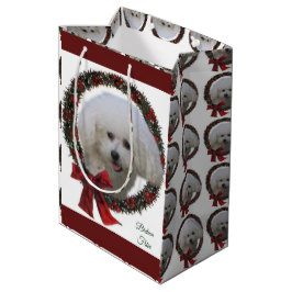 Bichon Frise-julfransen