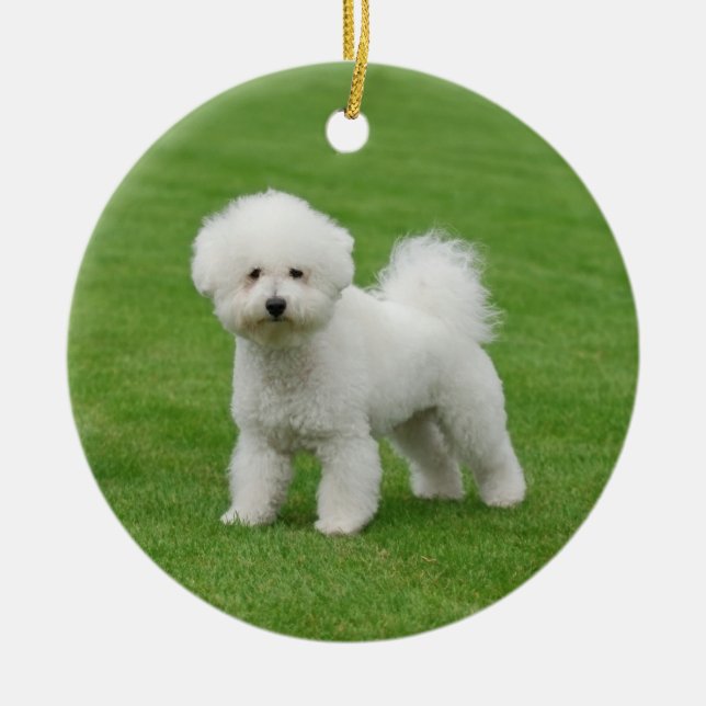Bichon Frise Julgransprydnad Keramik (Framsidan)