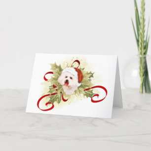 Bichon Frise julkort Helgkort