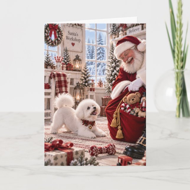 Bichon Frise julkort | Tomte & Bichon Kort (Framsida)