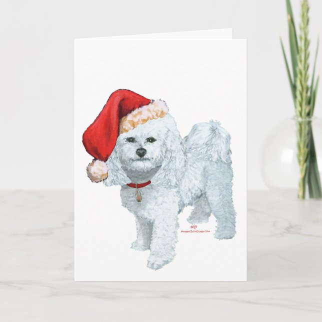 Bichon Frise Jultomte Hjälpare Kort (Framsida)