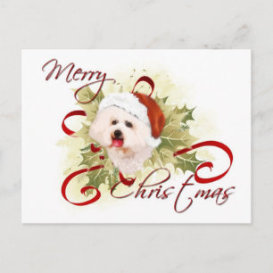 Bichon Frise julvykort Helg Vykort