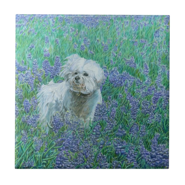 Bichon Frise Kakelplatta (Framsidan)