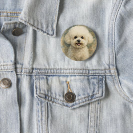 Bichon Frise Knapp
