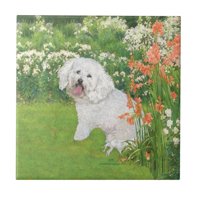 Bichon Frise Korallfantasi Kakelplatta (Framsidan)