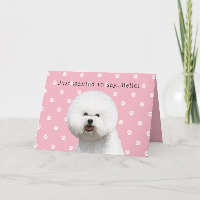 Bichon Frise kort (Framsida)