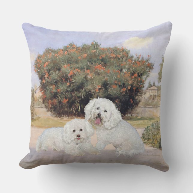 Bichon Frise Kudde (Framsida)