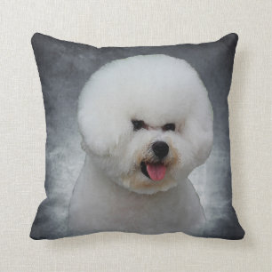 Bichon Frise kudder Kudde