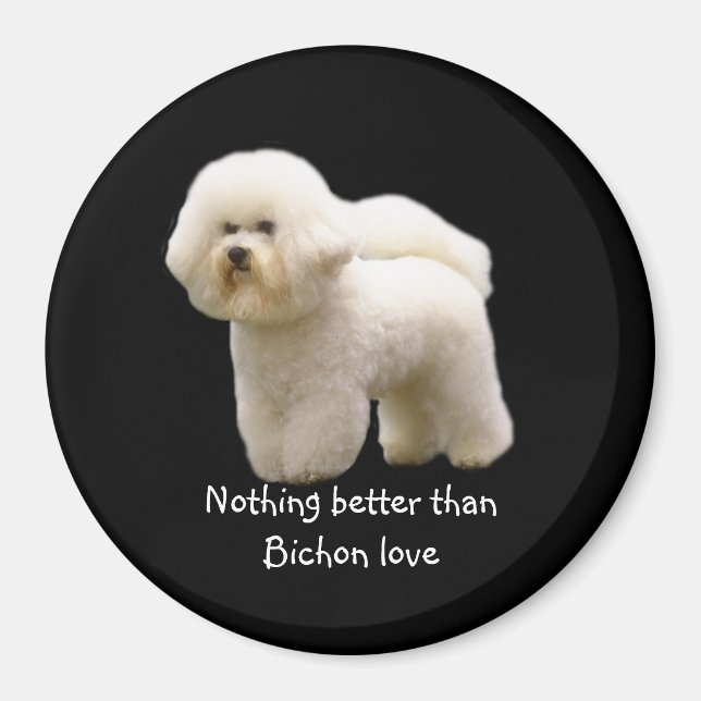 Bichon Frise Magnet (Framsidan)