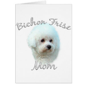 Bichon Frise Mamma 2 Hälsningskort