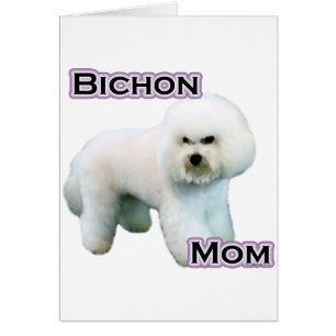 Bichon Frise Mamma 4 Hälsningskort