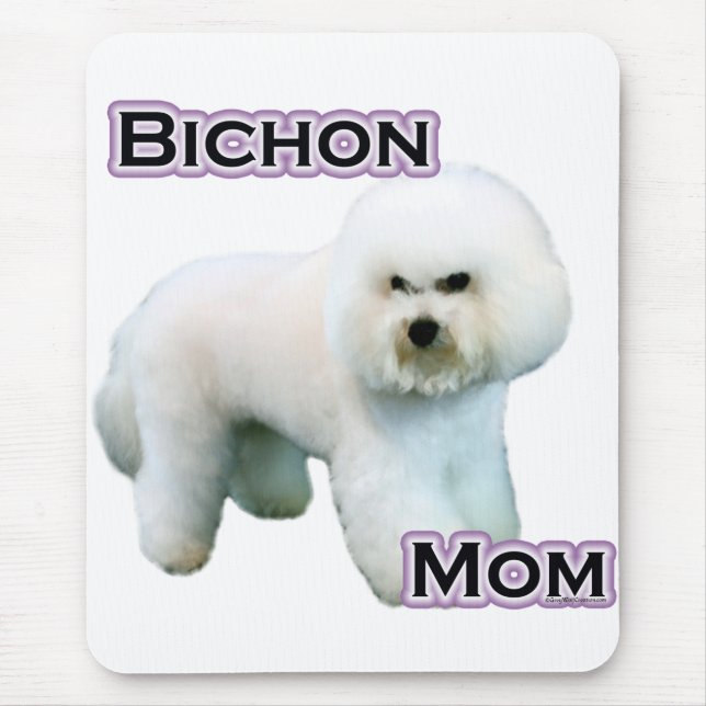 Bichon Frise Mamma 4 Musmatta (Framsidan)