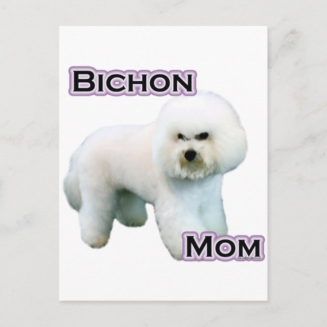 Bichon Frise Mamma 4 Vykort (Framsida)