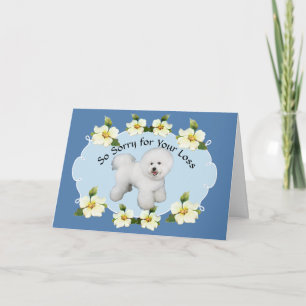 Bichon Frise med Blue Dogwood Sympathy Kort